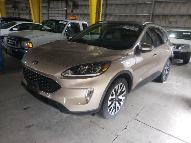Ford Escape sel (2020)