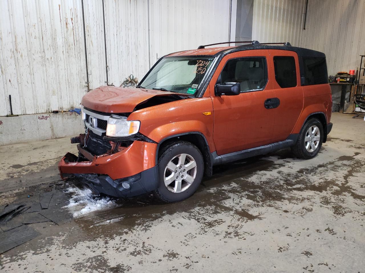 Honda Element ex (2010)