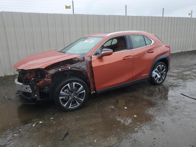 Lexus Ux 250h (2019)