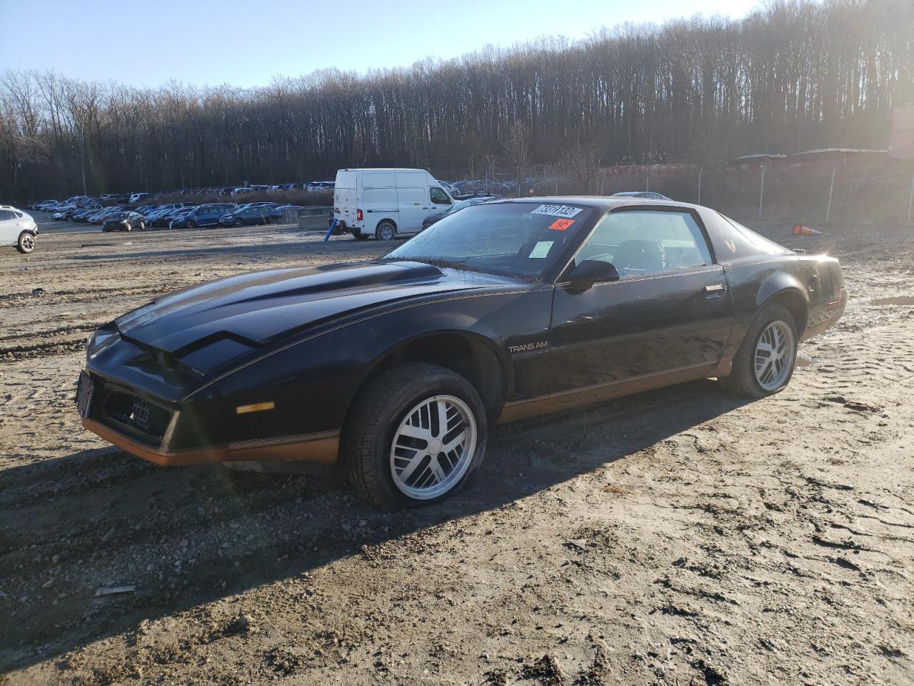 Pontiac Firebird t (1982)