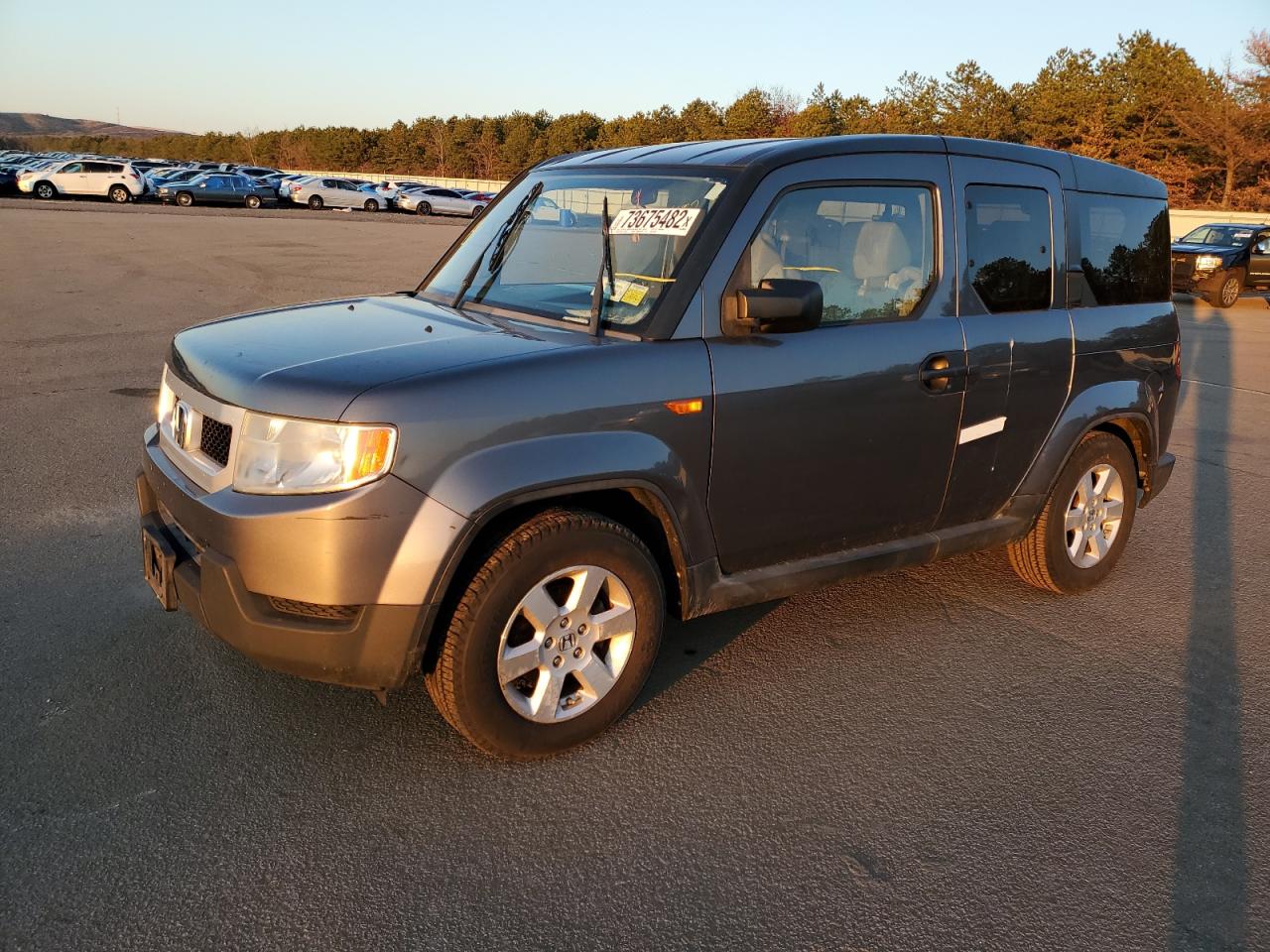 Honda Element ex (2010)