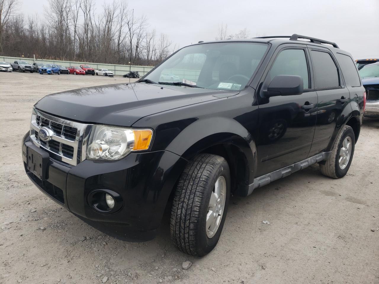 Ford Escape xlt (2010)