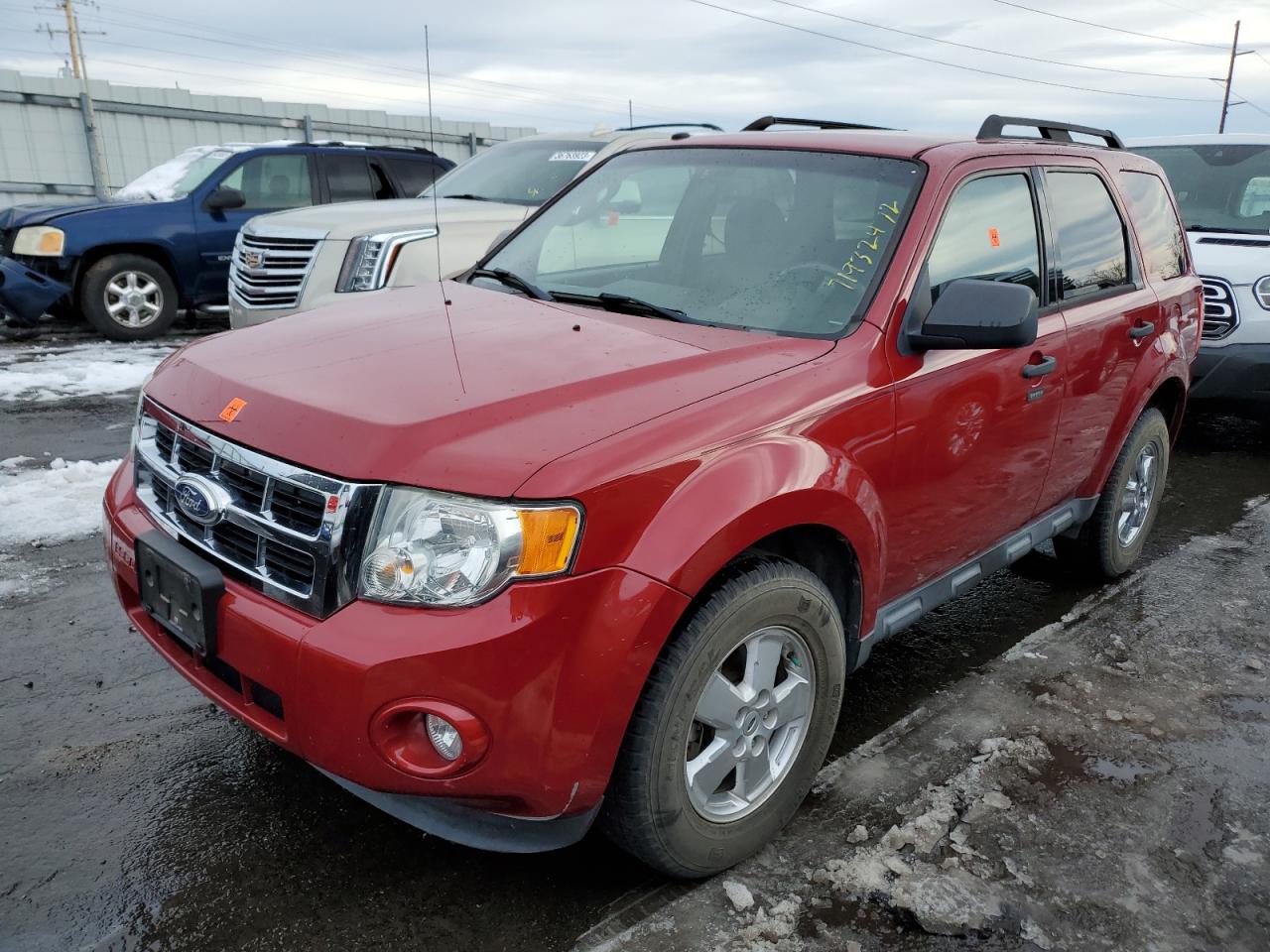 Ford Escape xlt (2011)
