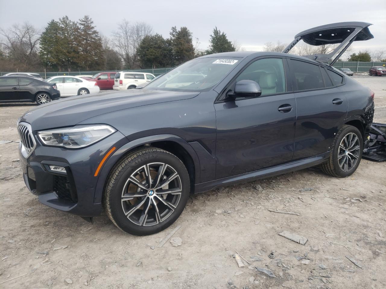 Bmw X6 sdrive (2020)