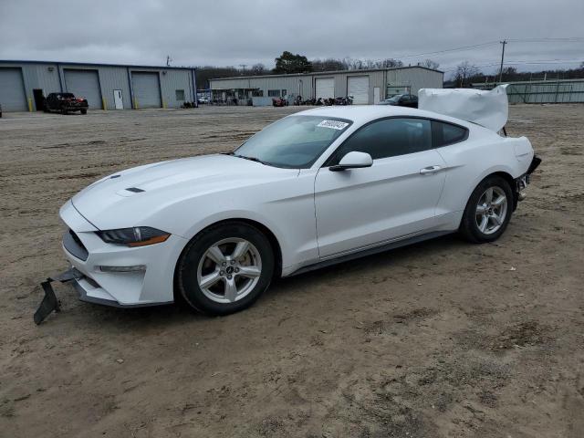 Ford All models (2019)