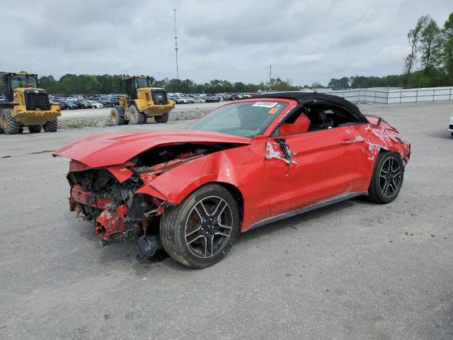 Ford All models (2019)
