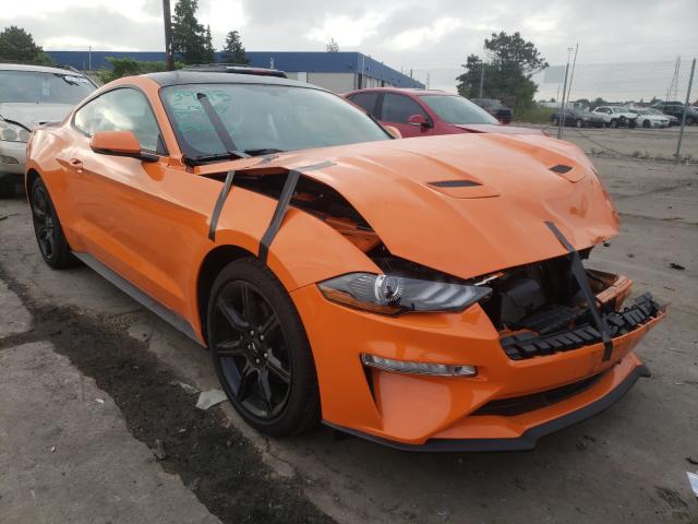 Ford All models (2020)