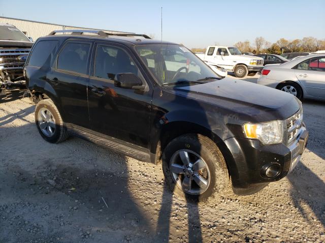 Ford Escape (2009)