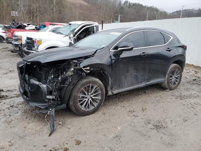Lexus Nx 350 (2023)