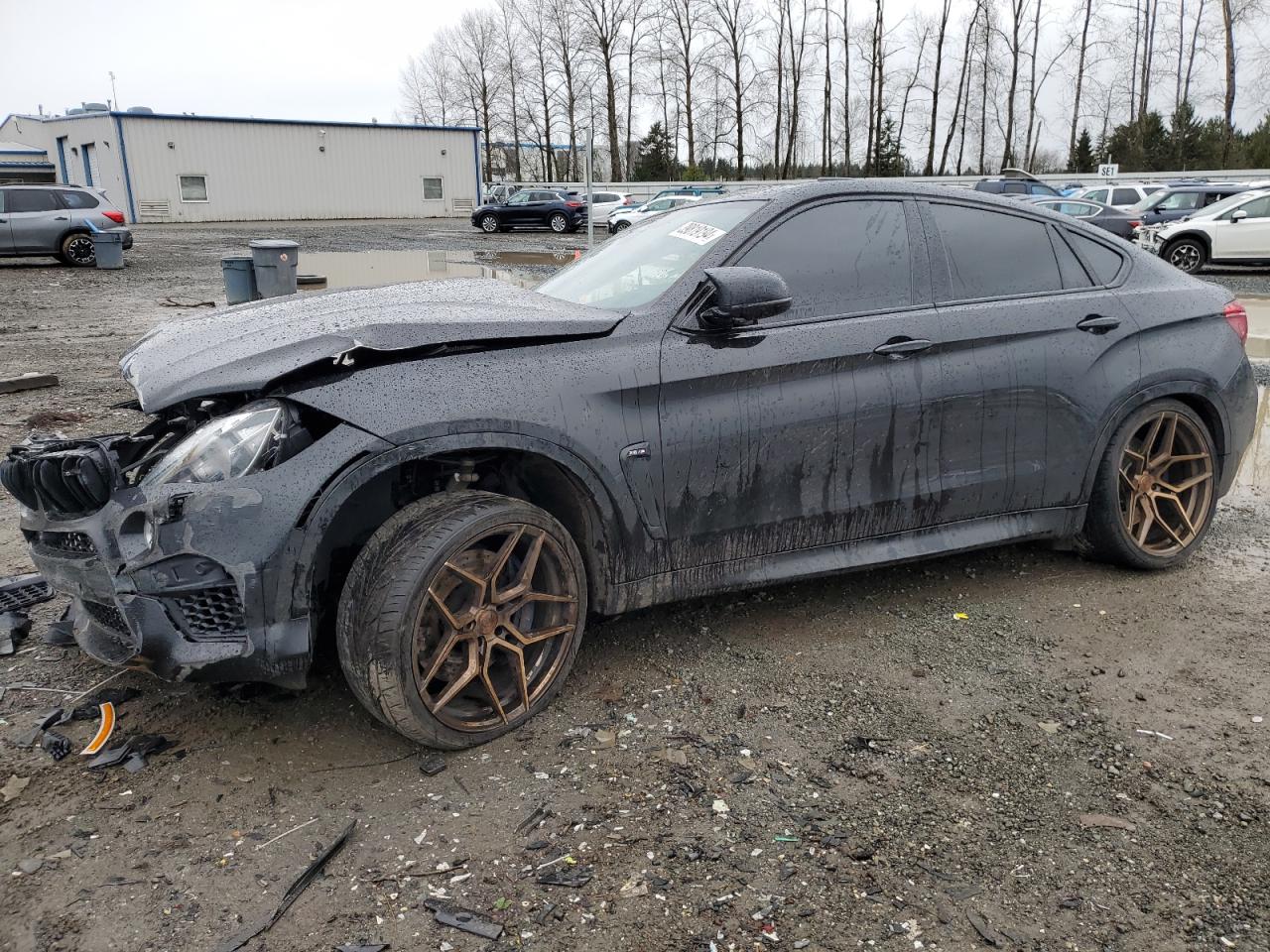 Bmw X6 (2017)