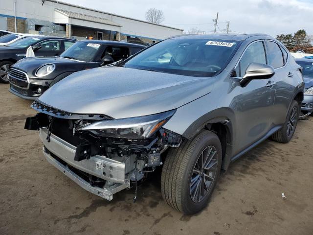 Lexus Nx 350 pre (2024)