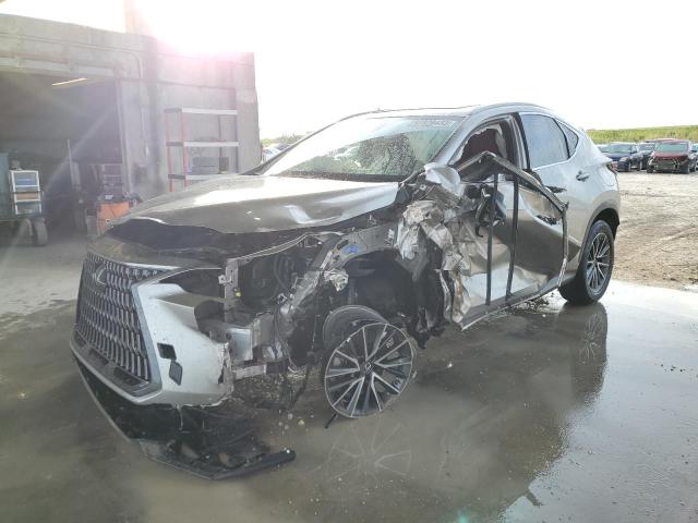 Lexus Nx 350 (2022)