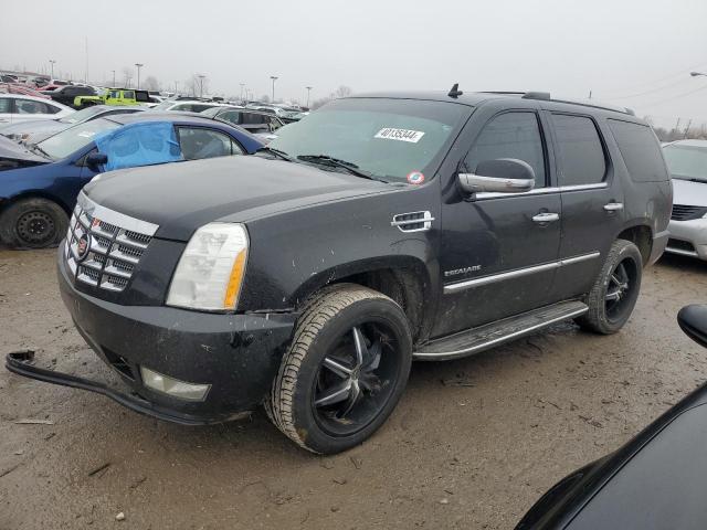 Cadillac Escalade (2013)