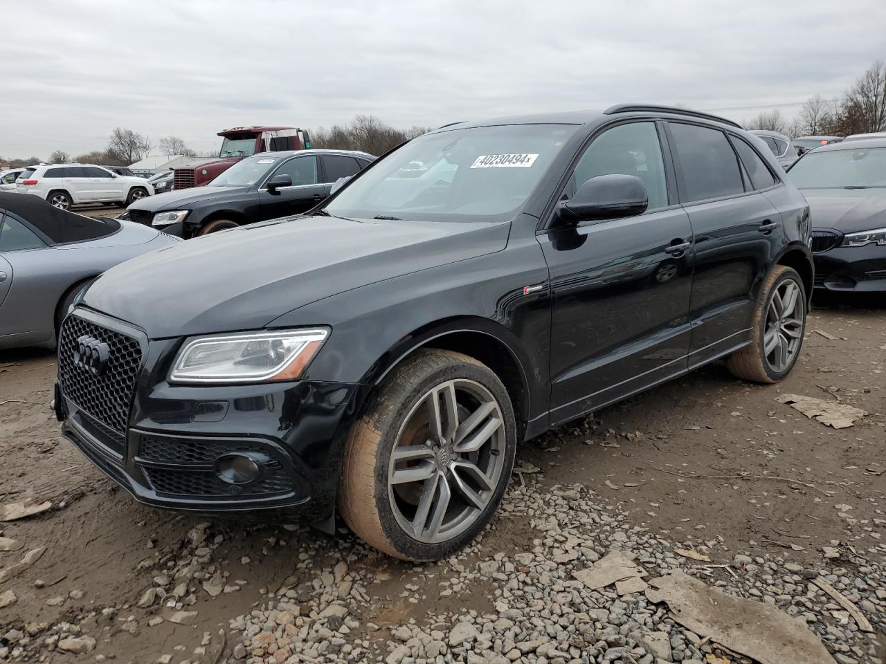 Audi Sq5 (2015)