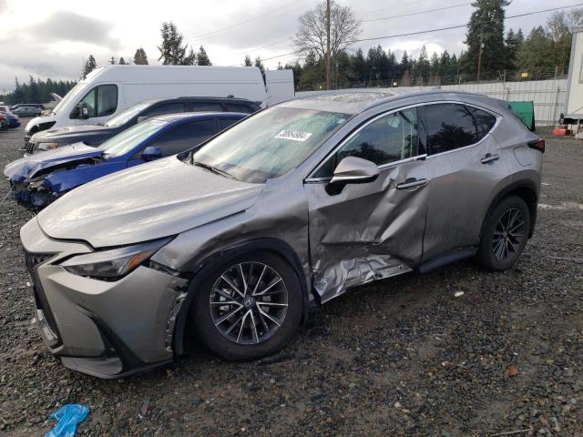 Lexus Nx 350 (2022)