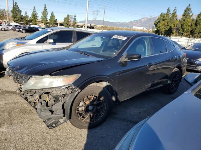 Honda Crosstour (2012)