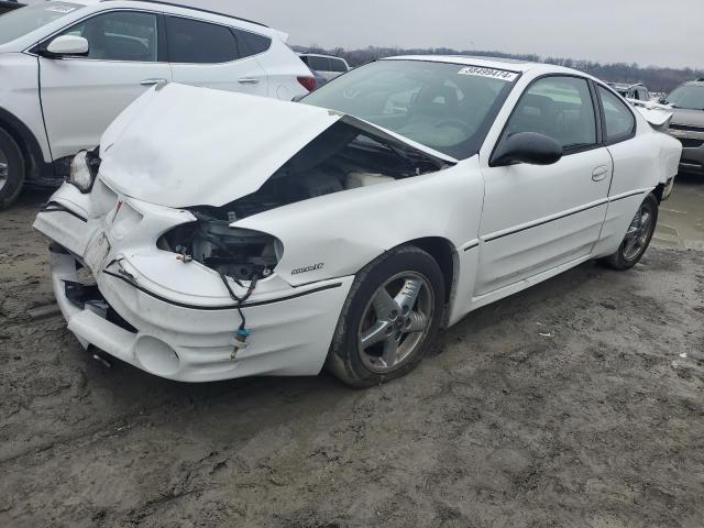 Pontiac Grandam (2004)