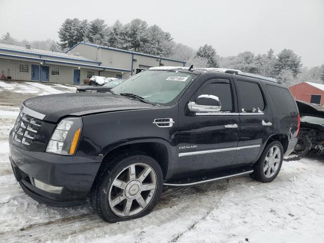 Cadillac Escalade (2010)
