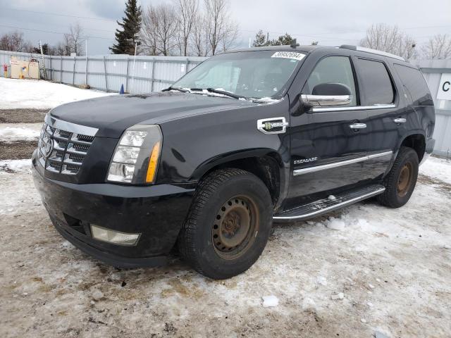 Cadillac Escalade (2012)