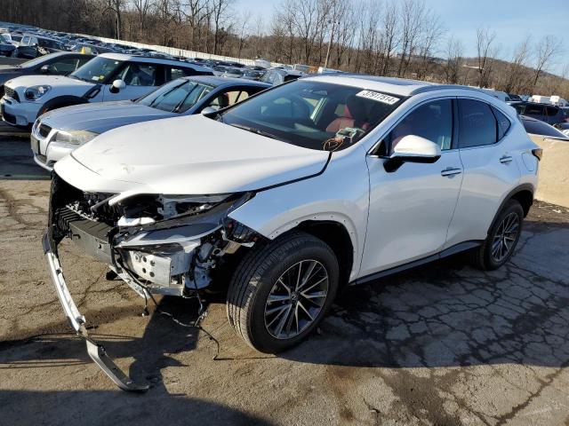 Lexus Nx 350 (2023)