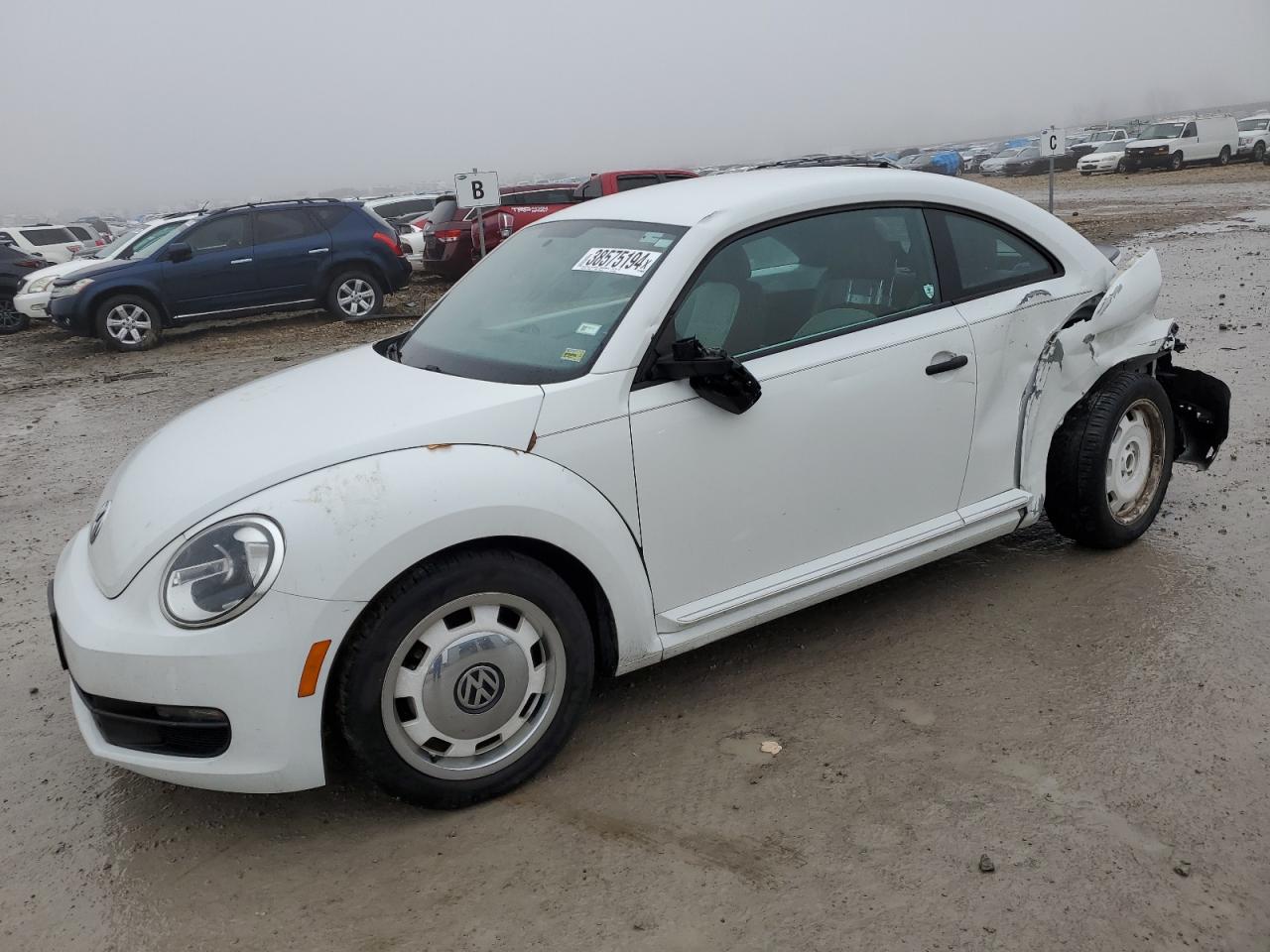 Volkswagen Beetle (2016)