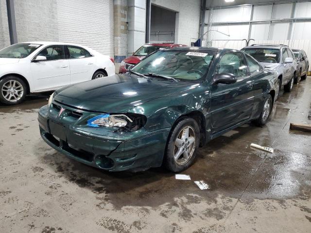 Pontiac Grandam (2002)