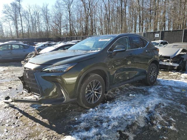 Lexus Nx 350 (2022)
