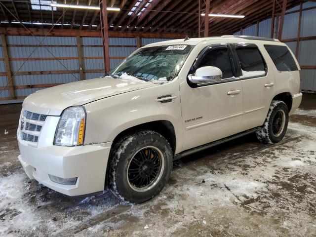 Cadillac Escalade (2013)