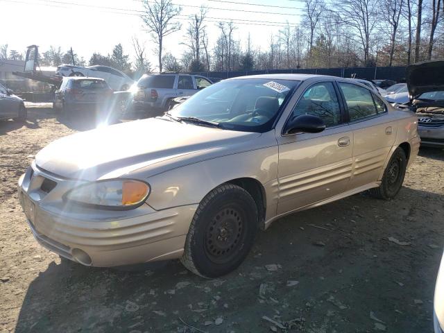 Pontiac Grandam (2002)