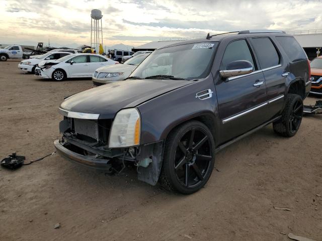 Cadillac Escalade (2010)