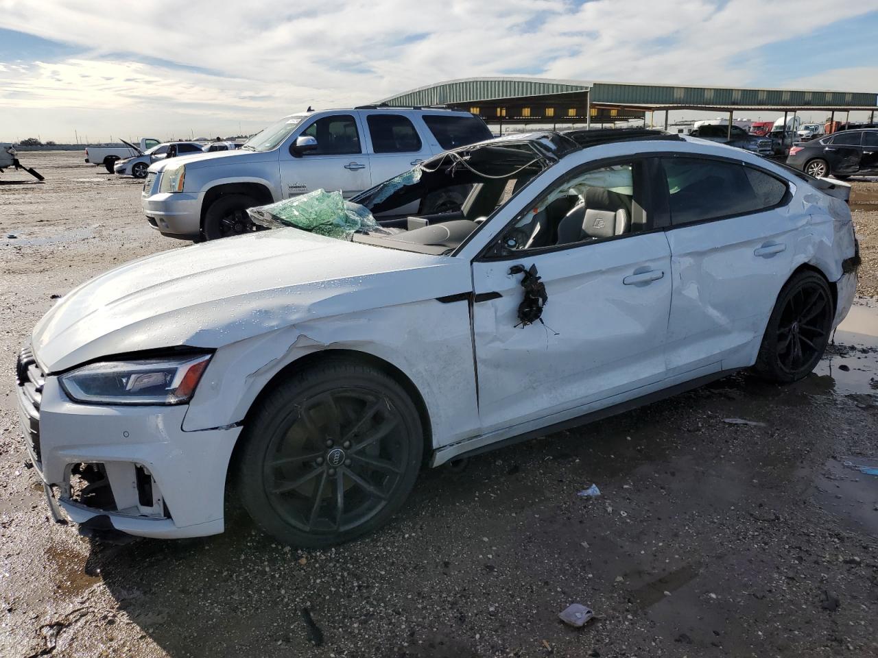 Audi Rs5 (2018)