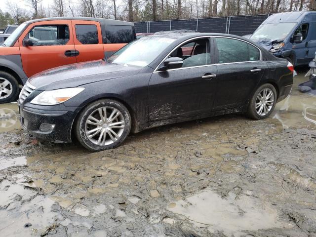 Hyundai Genesis (2010)