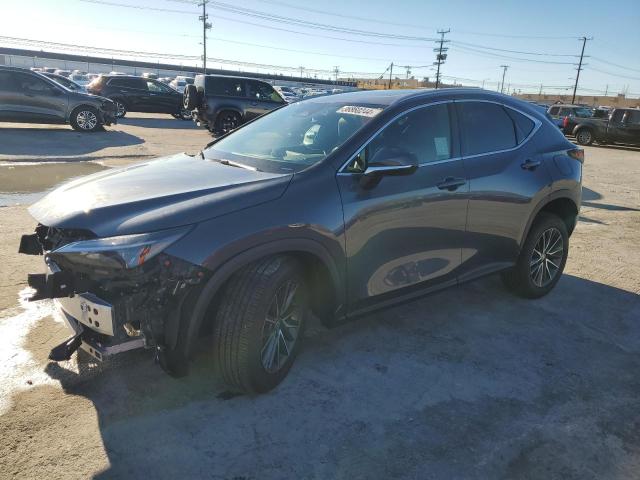 Lexus Nx 350 pre (2024)