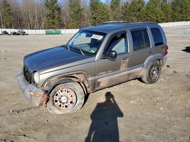 Jeep Liberty (2003)