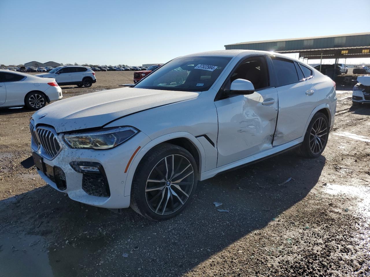 Bmw X6 (2021)