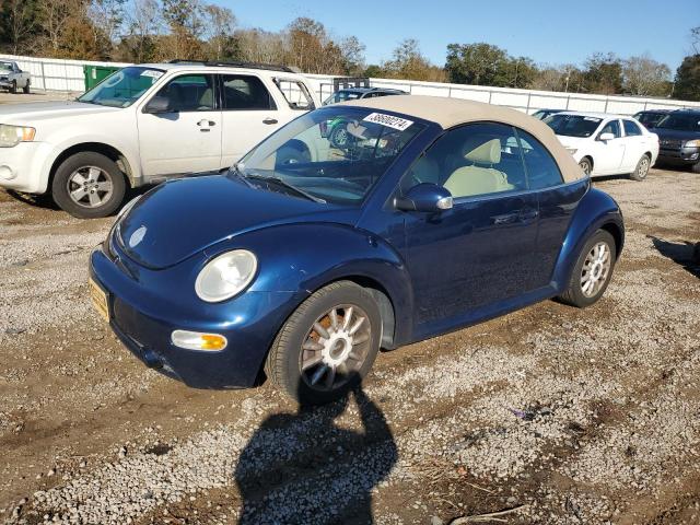 Volkswagen Beetle (2004)