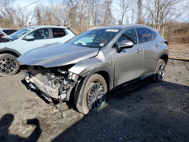 Lexus Nx 350 (2023)