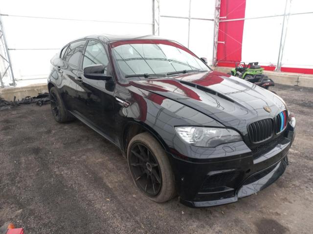 Bmw X6 (2012)