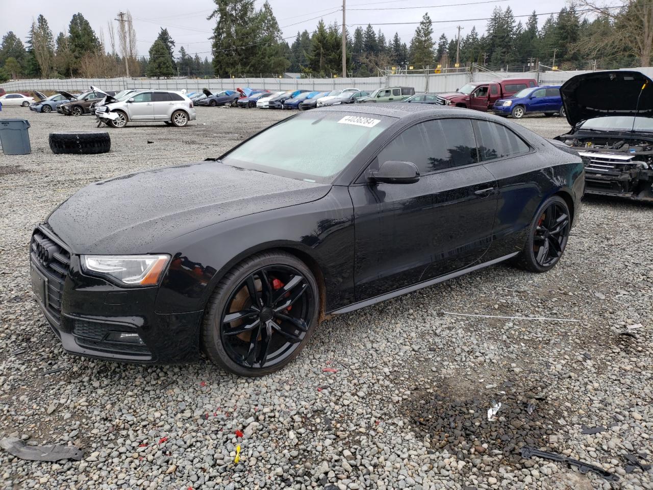 Audi Rs5 (2016)