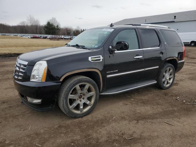 Cadillac Escalade (2010)