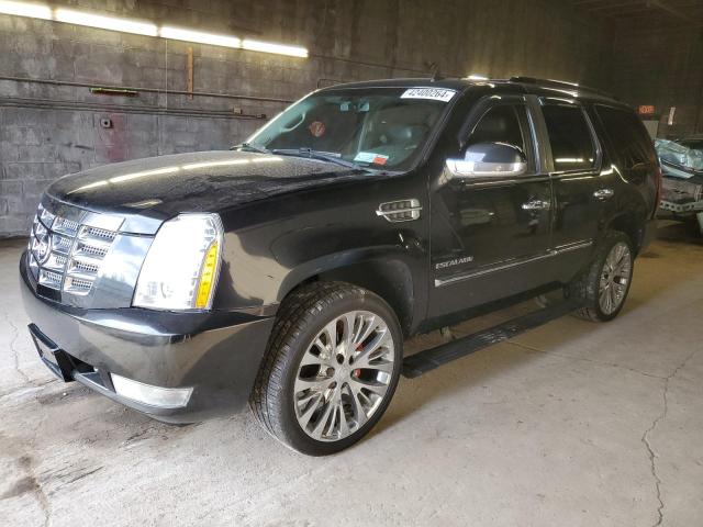 Cadillac Escalade (2010)
