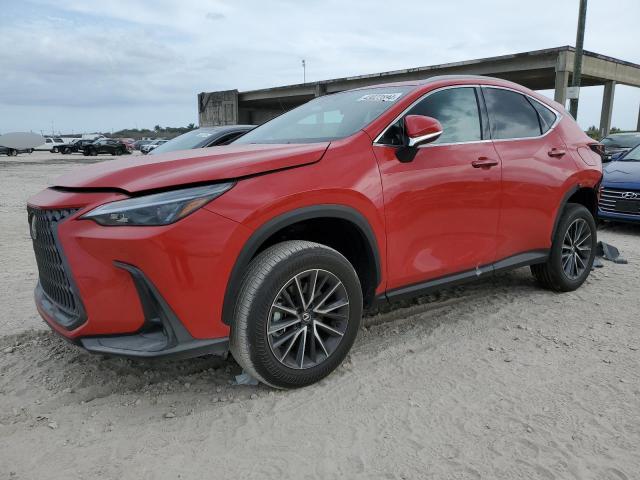 Lexus Nx 250 pre (2024)