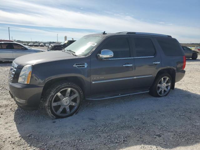 Cadillac Escalade (2010)