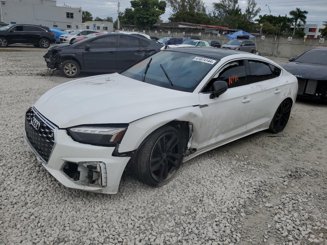 Audi Rs5 (2023)
