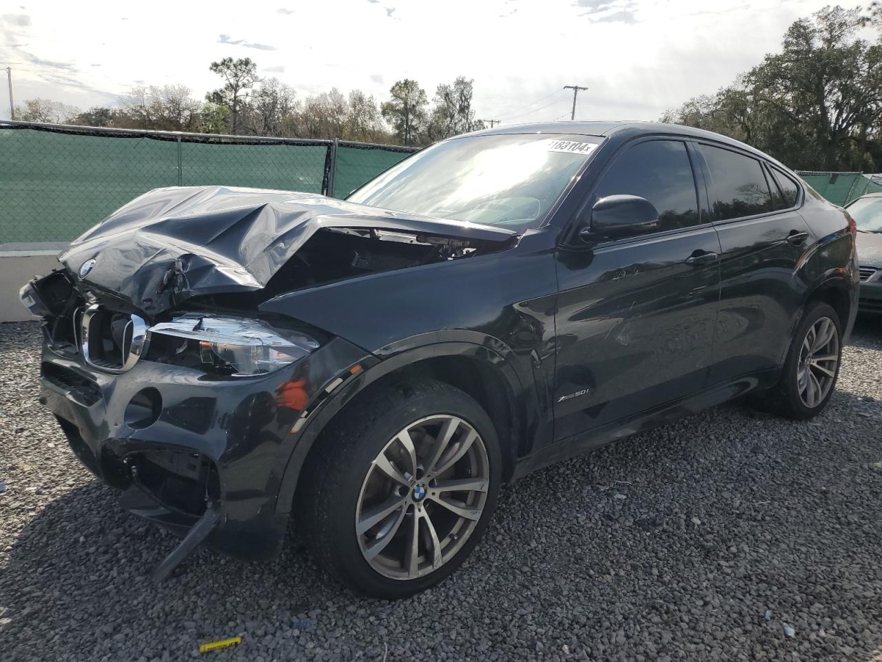 Bmw X6 (2016)