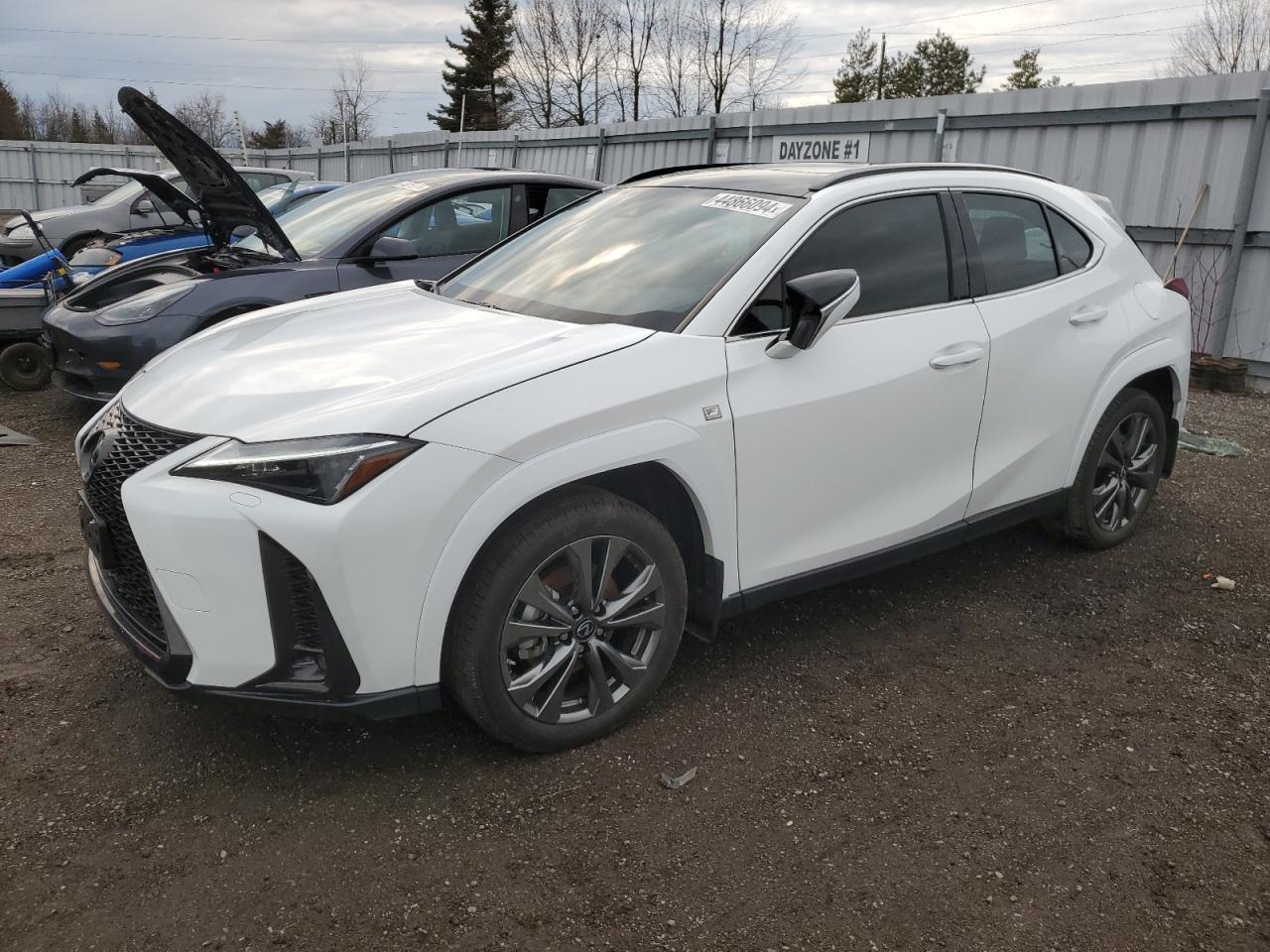 Lexus Nx-300h (2024)