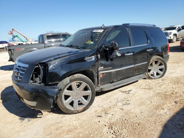 Cadillac Escalade (2008)