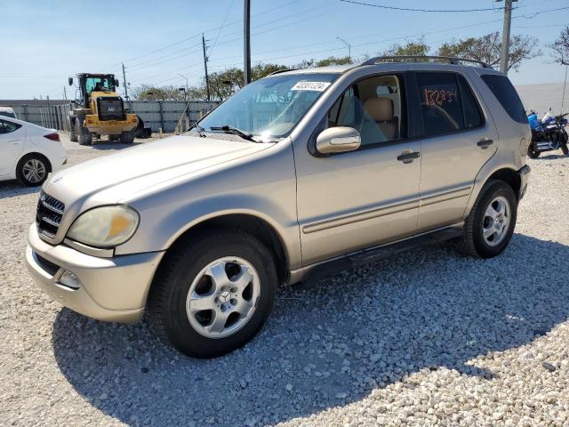 Mercedes-benz M-class (2002)