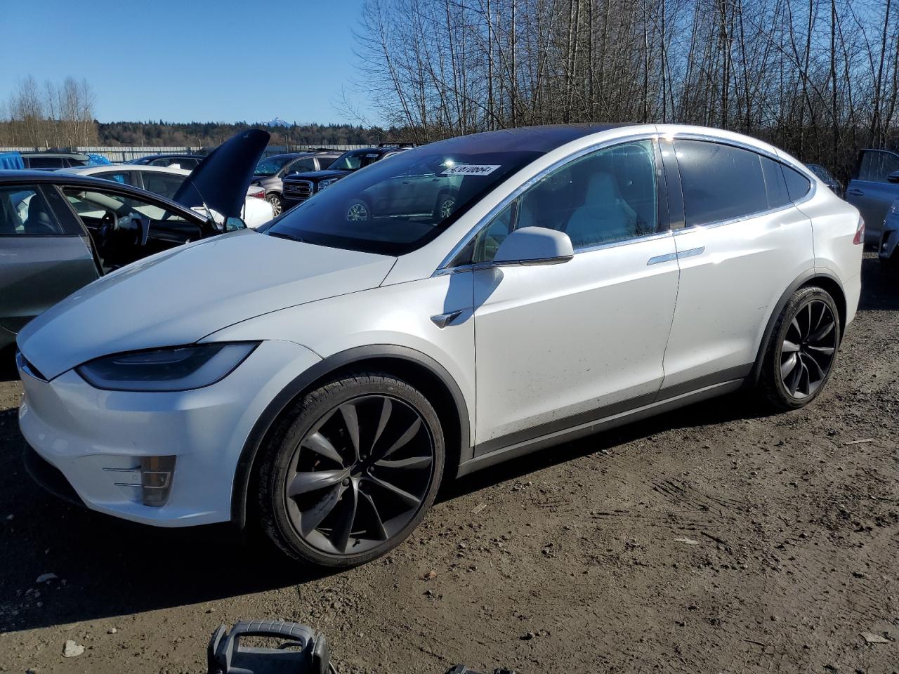 Tesla Model x (2019)