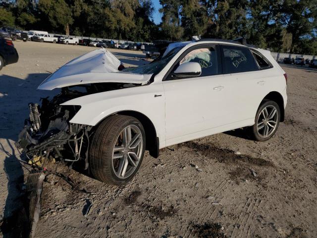 Audi Sq5 (2015)